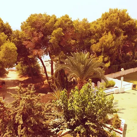 Coveta Apartment El Campello